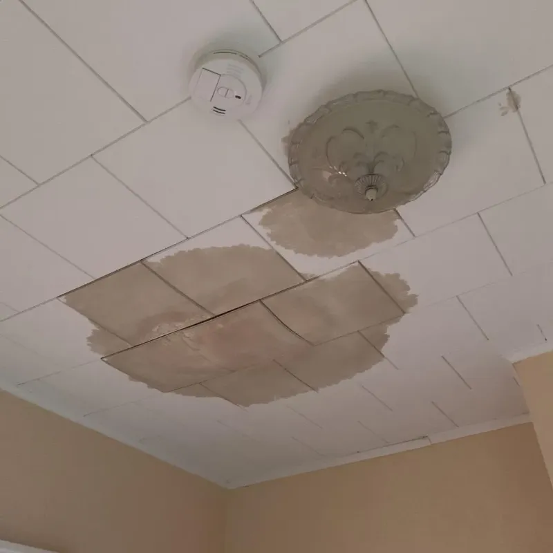 Ceiling Water Damage Repair in Surf City, NC